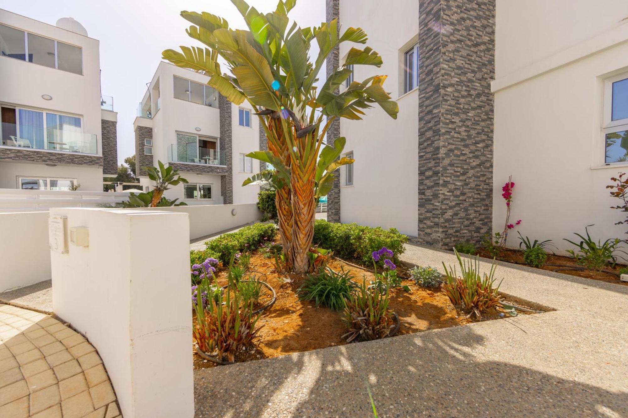 פרוטאראס Fig Tree Bay Residences 3 מראה חיצוני תמונה